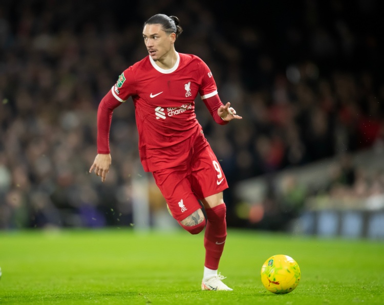 福勒:努涅斯看上去不像利物浦球員,在場上光努力是不夠的